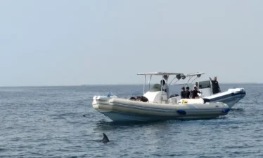 Private Speedboat to Orange Bay and White Island
